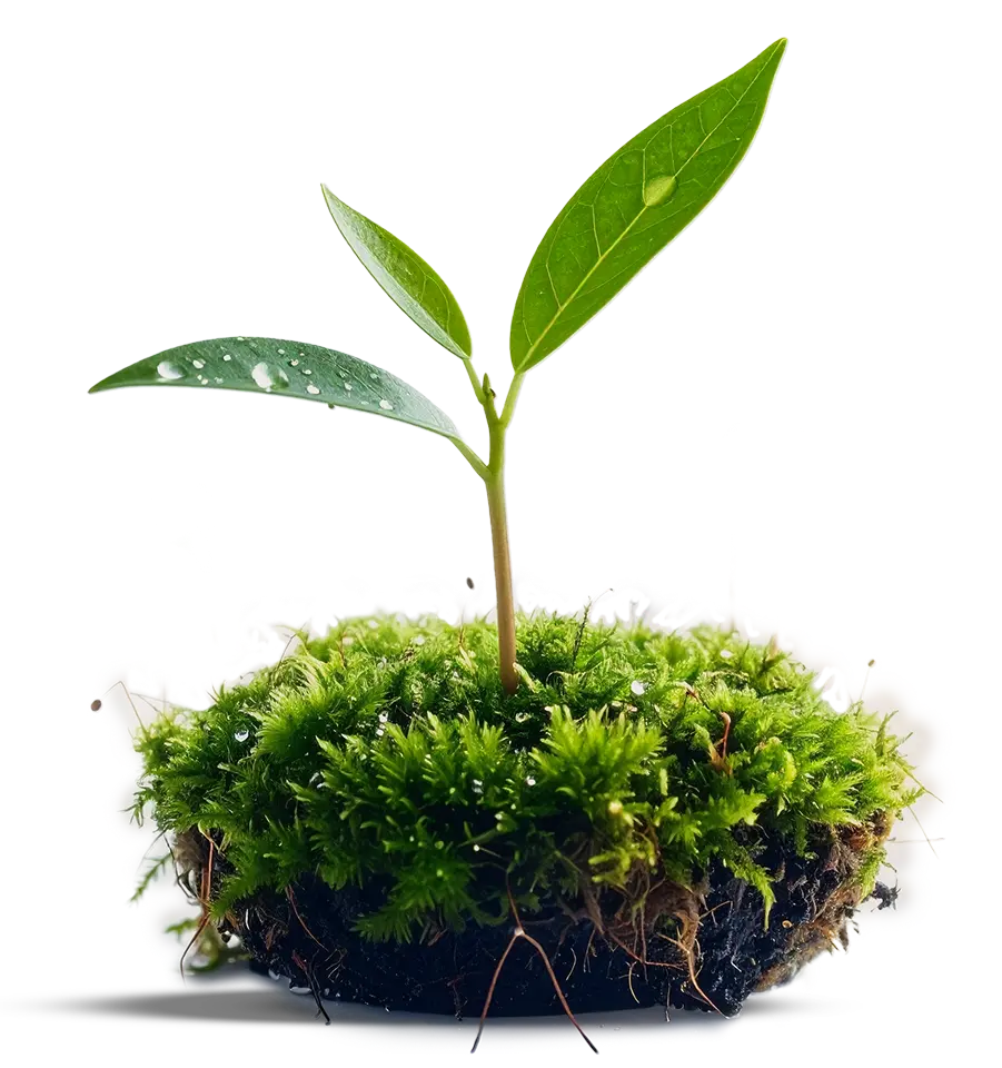 人と組織の未来を育む