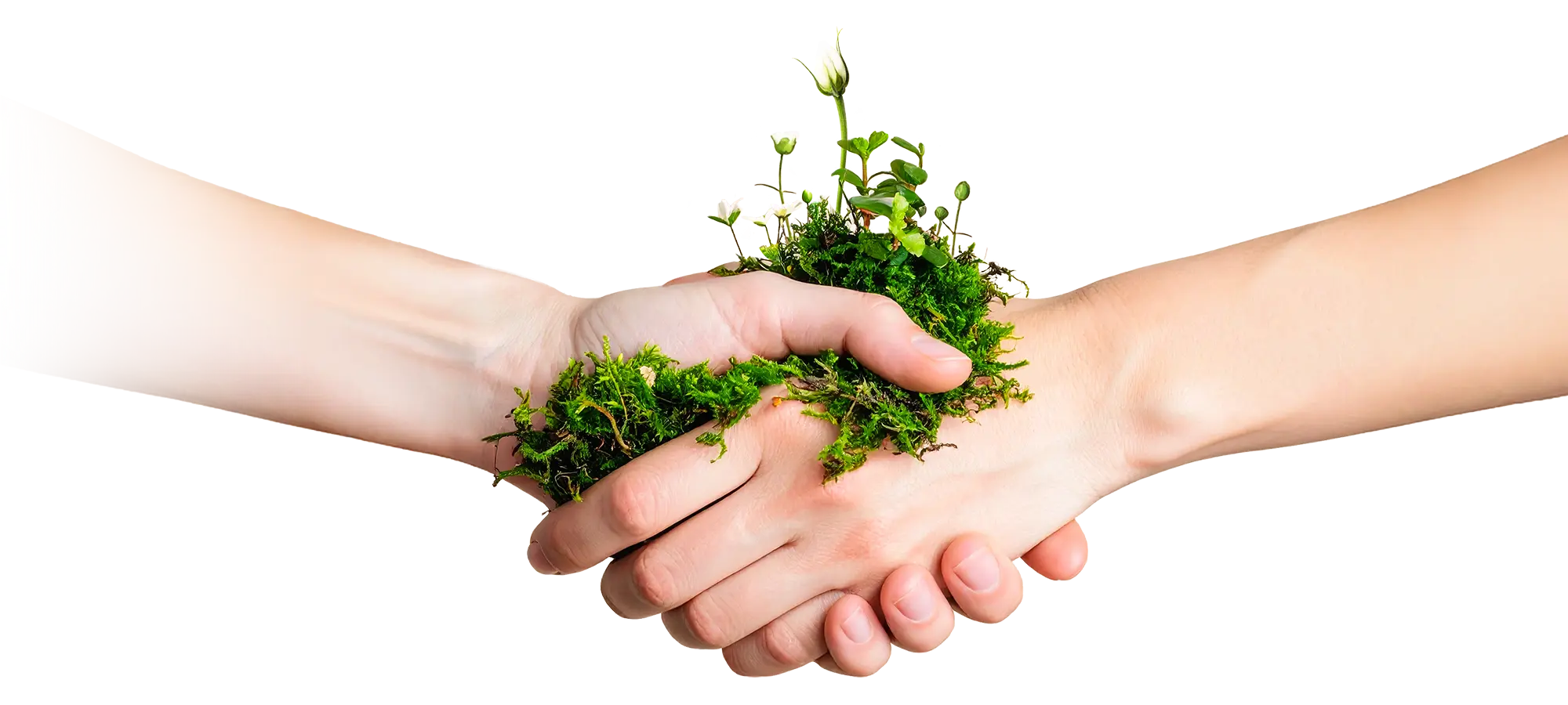 顧客と手を取り導くコンサルタント